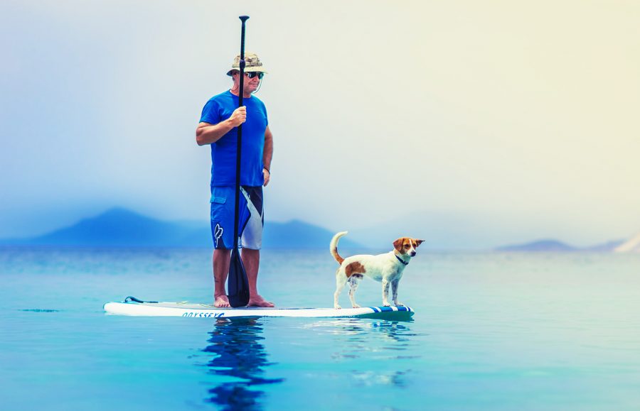 Best Inflatable SUP for Dogs