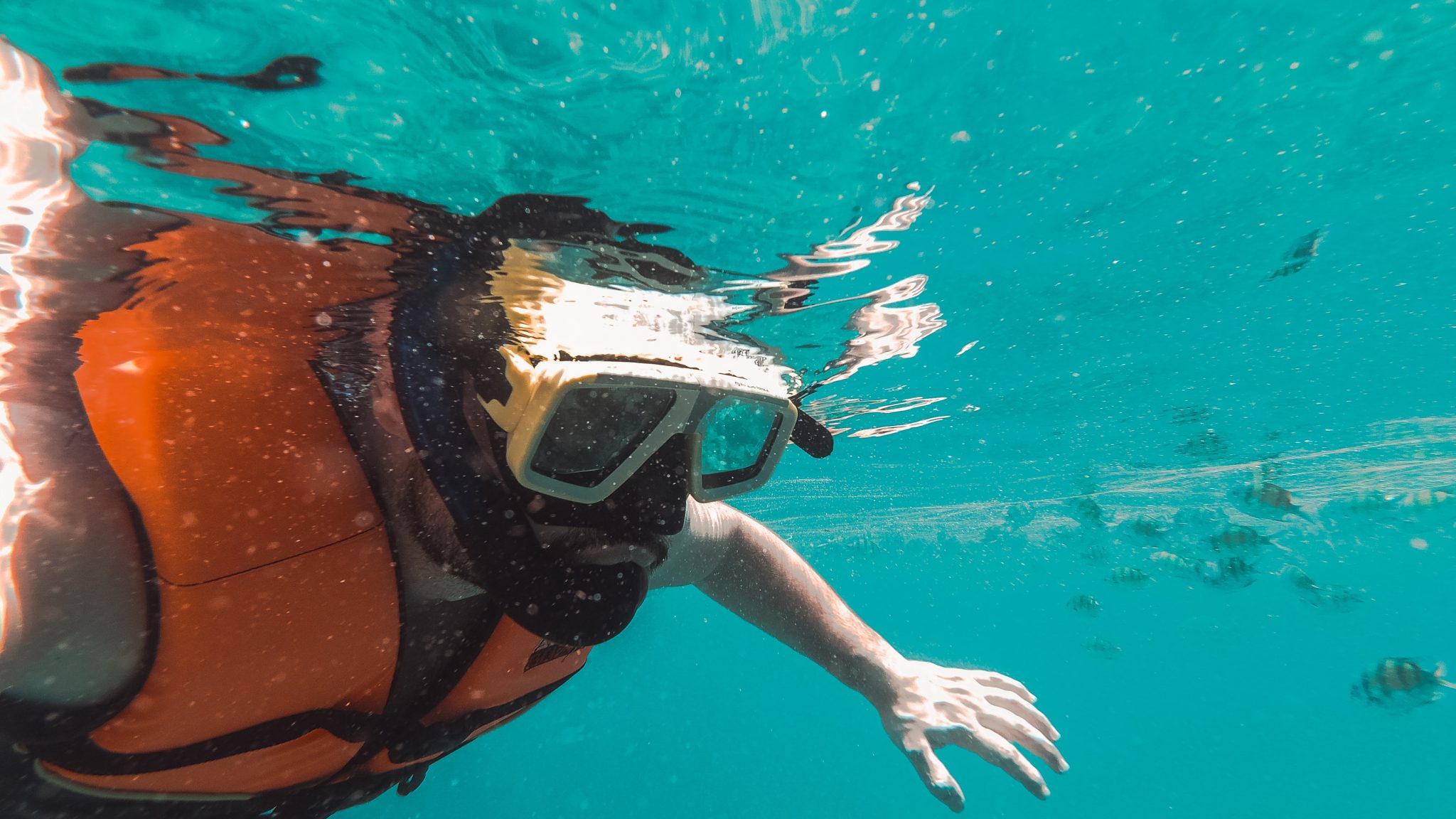 5 Best Snorkel Vests for Easy Snorkeling Reviewed
